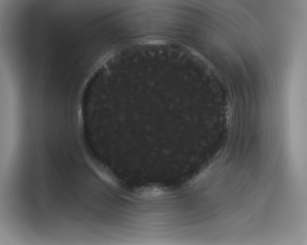 X0000114190254200910161210