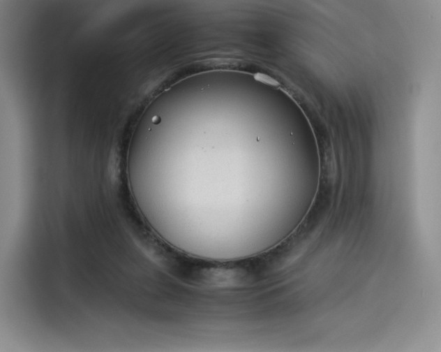 X0000114190255200910161210