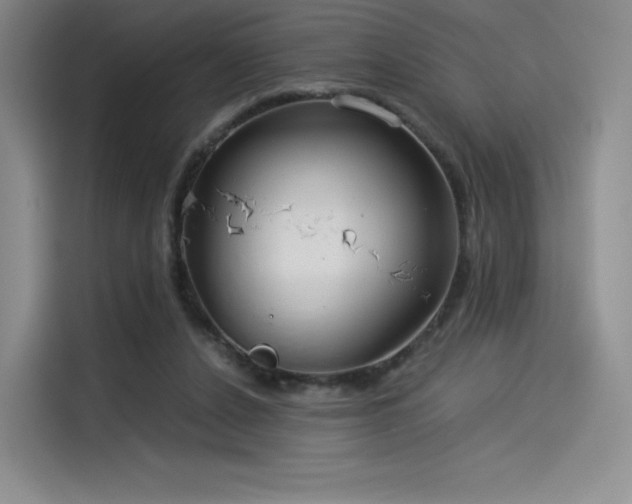 X0000114190256200910161210