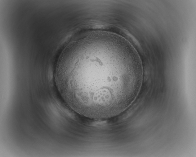 X0000114190257200910161210