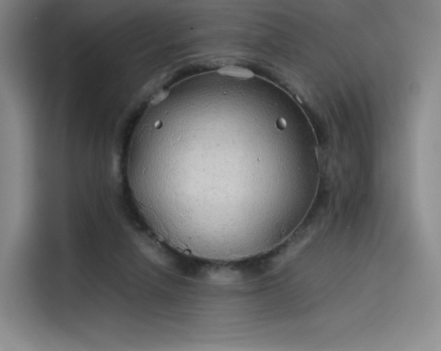 X0000114190258200910161210