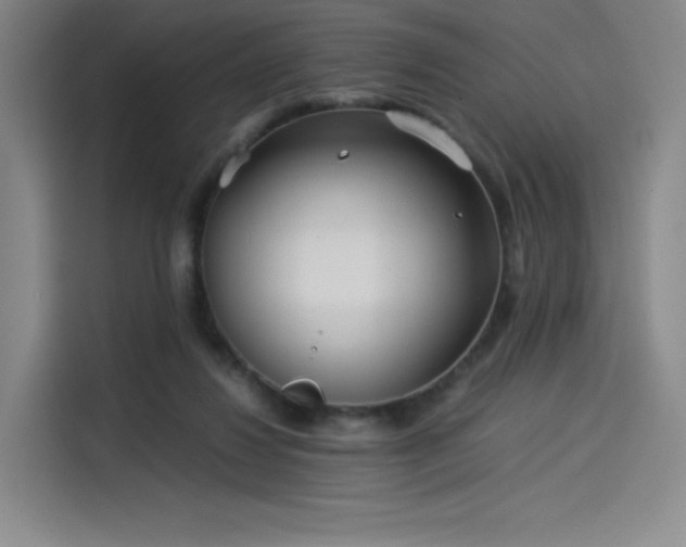 X0000114190260200910161210