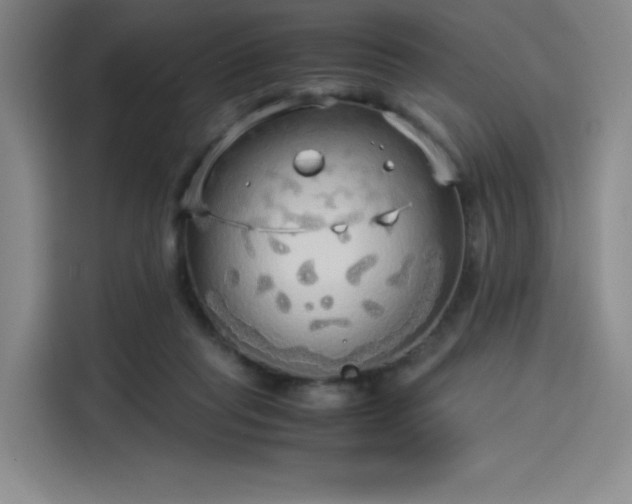 X0000114190261200910161210