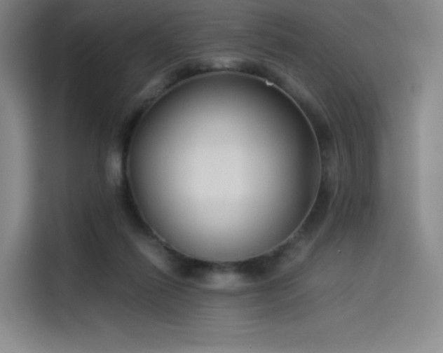 X0000114190262200910161210