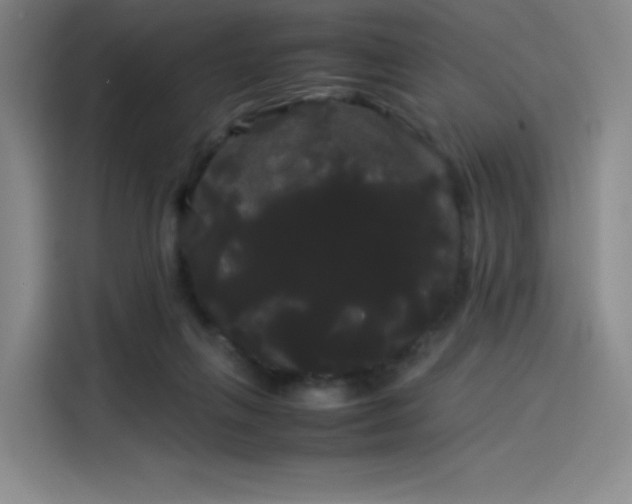 X0000114190263200910161210