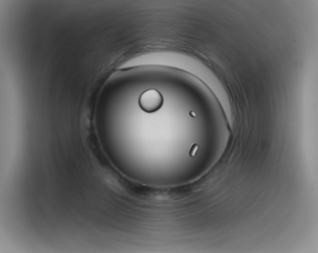 X0000114190264200910161210