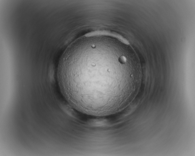 X0000114190266200910161211