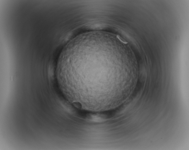 X0000114190268200910161211