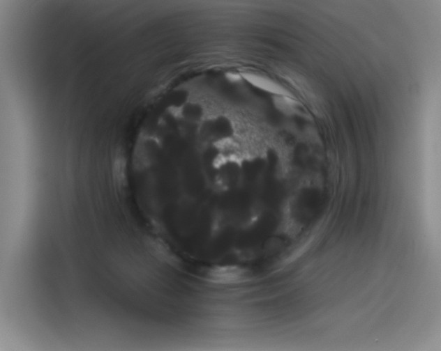 X0000114190269200910161211