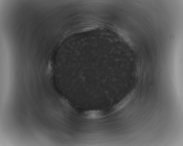 X0000114190273200910161211