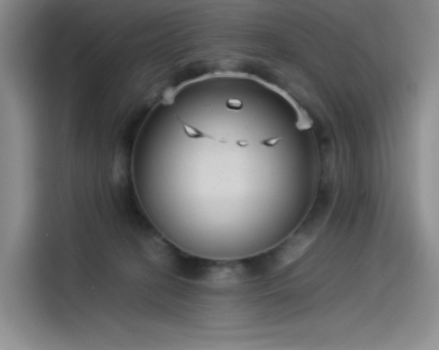 X0000114190274200910161211