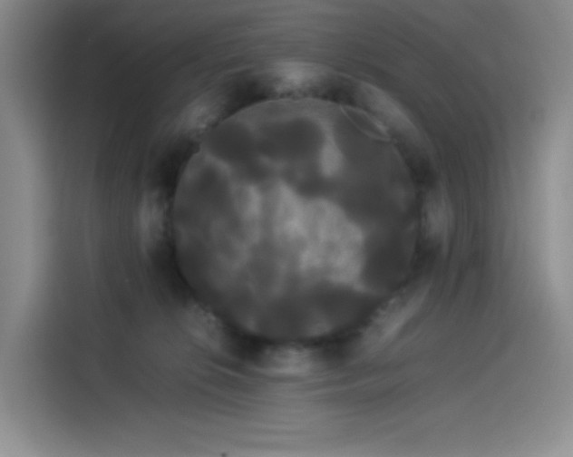 X0000114190276200910161211
