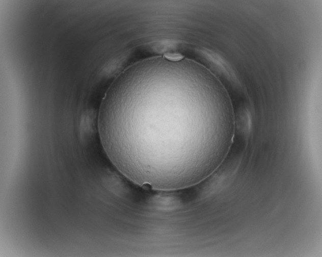 X0000114190280200910161211