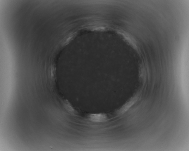 X0000114190281200910161211