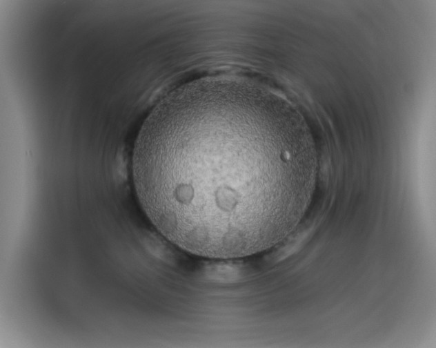 X0000114190282200910161211