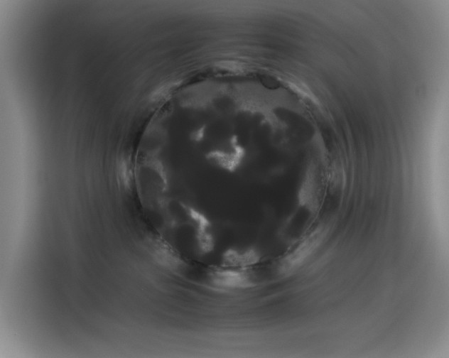 X0000114190285200910161211