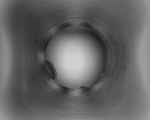X0000114190288200910161211