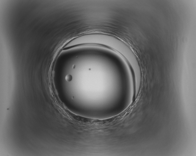 X0000114190289200910161210