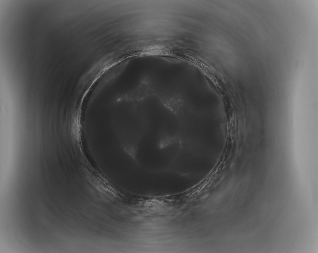X0000114190290200910161210