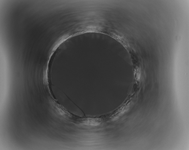 X0000114190292200910161210