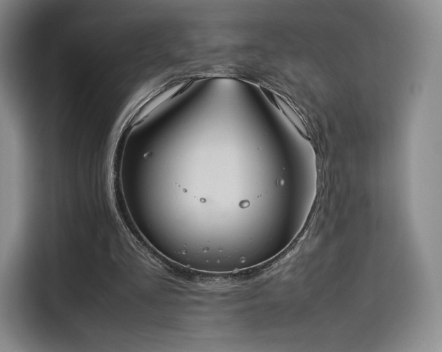 X0000114190293200910161210