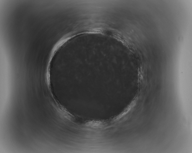X0000114190294200910161210