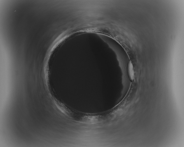 X0000114190295200910161210