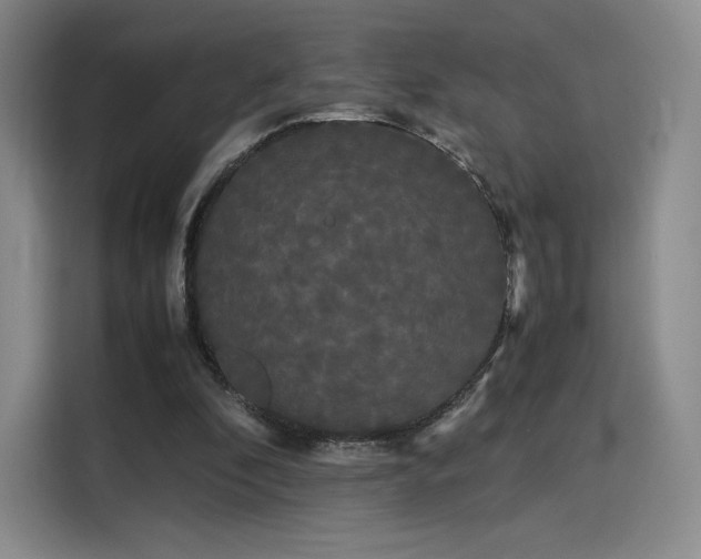 X0000114190296200910161210