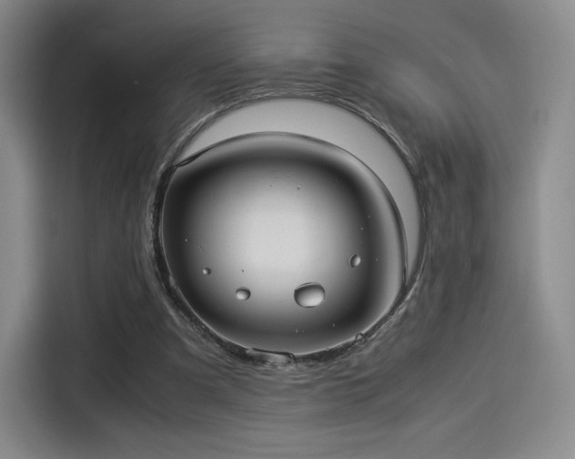 X0000114190297200910161210