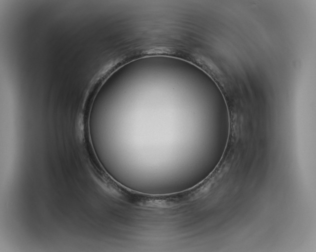 X0000114190298200910161210