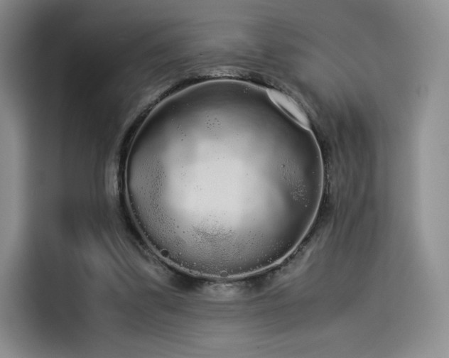 X0000114190299200910161210