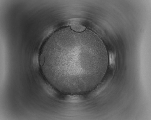 X0000114190300200910161210