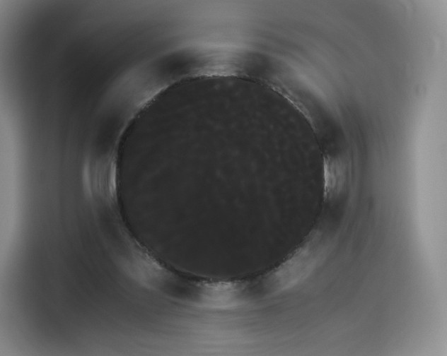 X0000114190301200910161210