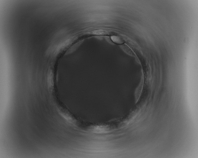 X0000114190303200910161210