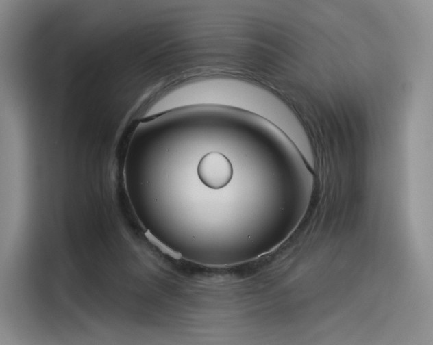 X0000114190304200910161210