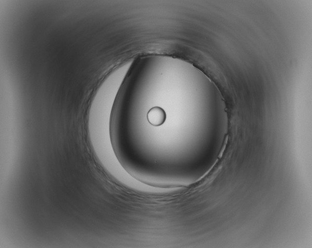X0000114190305200910161210