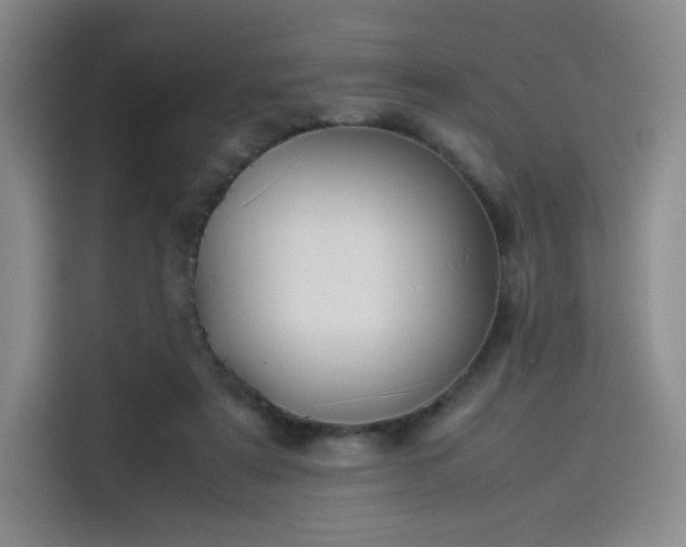 X0000114190307200910161210