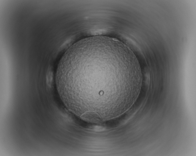 X0000114190308200910161210