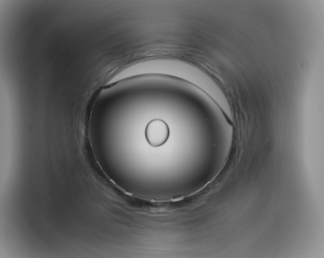 X0000114190309200910161210