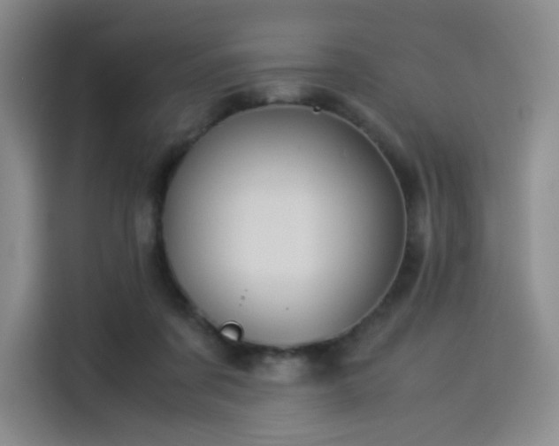 X0000114190311200910161210