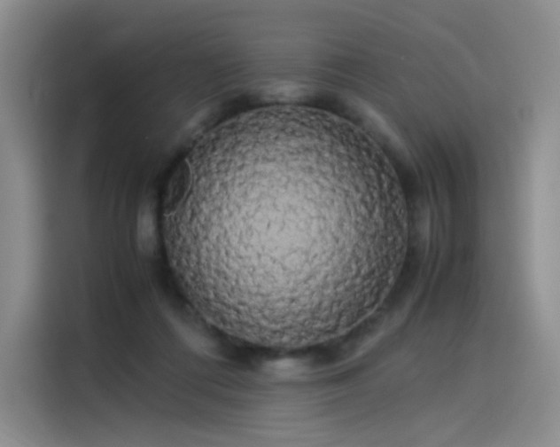 X0000114190312200910161210