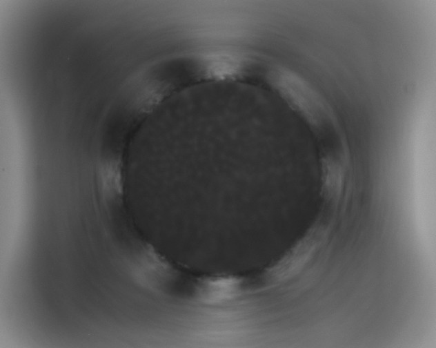 X0000114190313200910161210