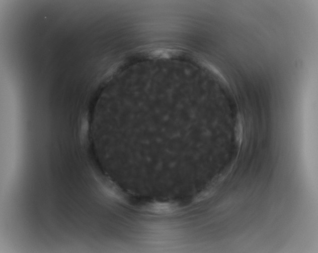 X0000114190314200910161210