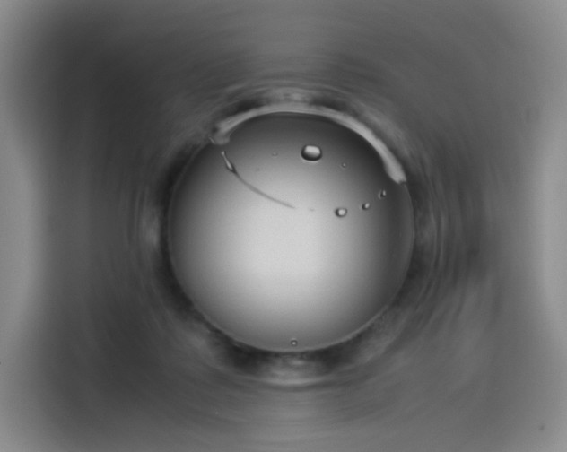 X0000114190315200910161210