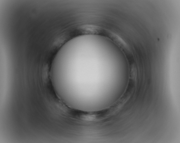X0000114190318200910161210