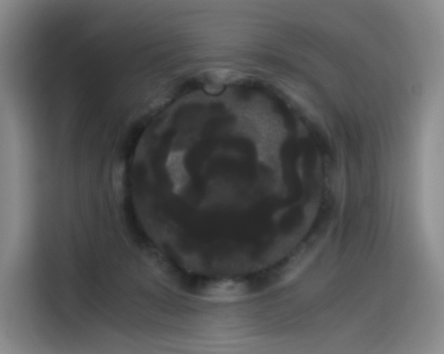 X0000114190319200910161210