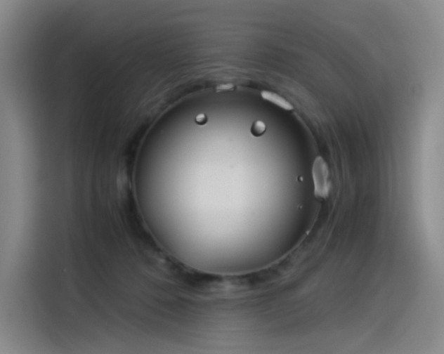X0000114190320200910161210