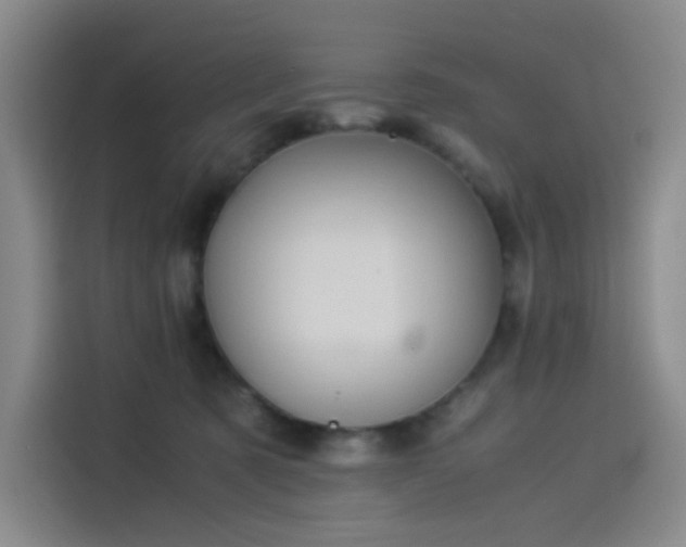 X0000114190321200910161210