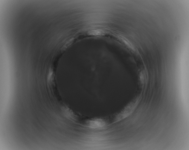 X0000114190322200910161210