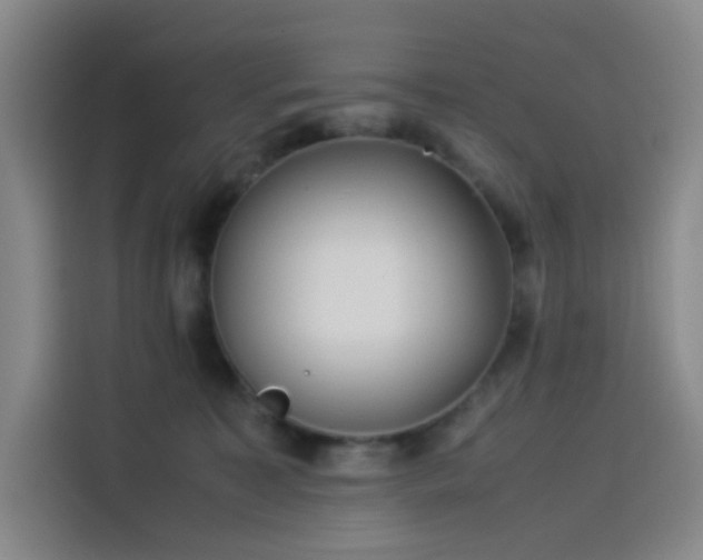 X0000114190323200910161210